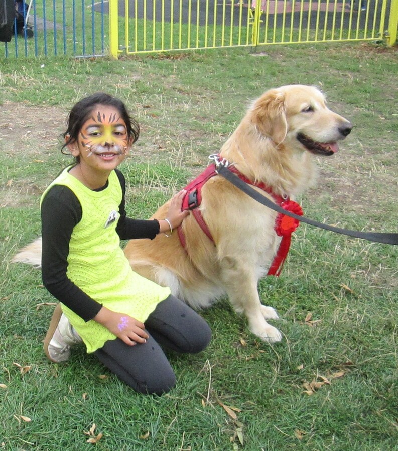 Dog Show